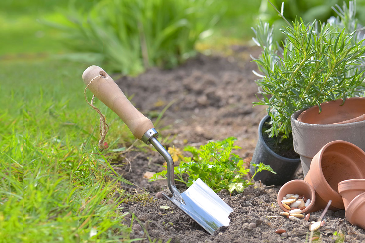 Tips for Buying a House with a Garden