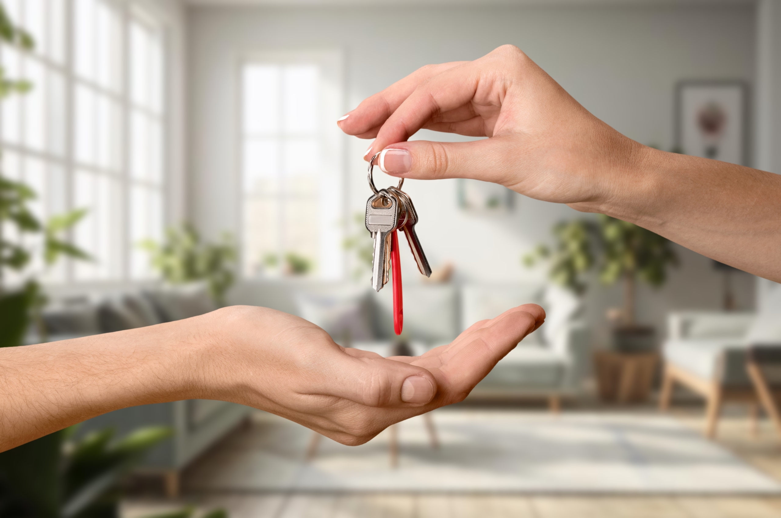 Renting law changes 2026: what landlords need to do now